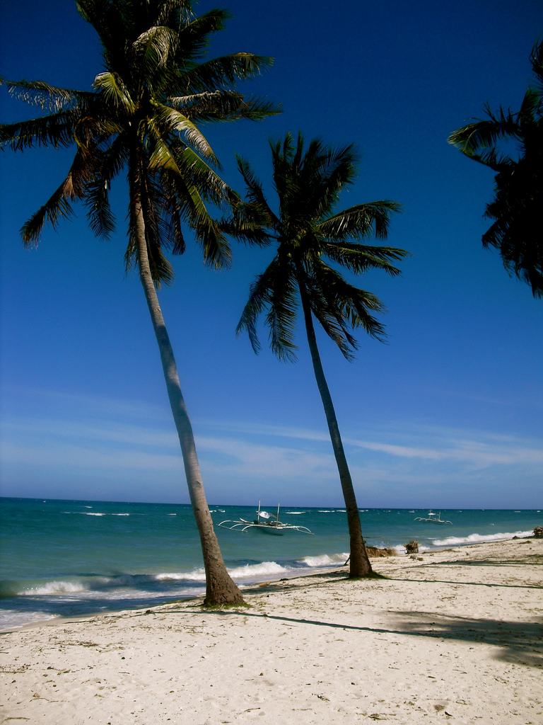 Pamilacan Island by Julie Zwart Pamilacan Island photo